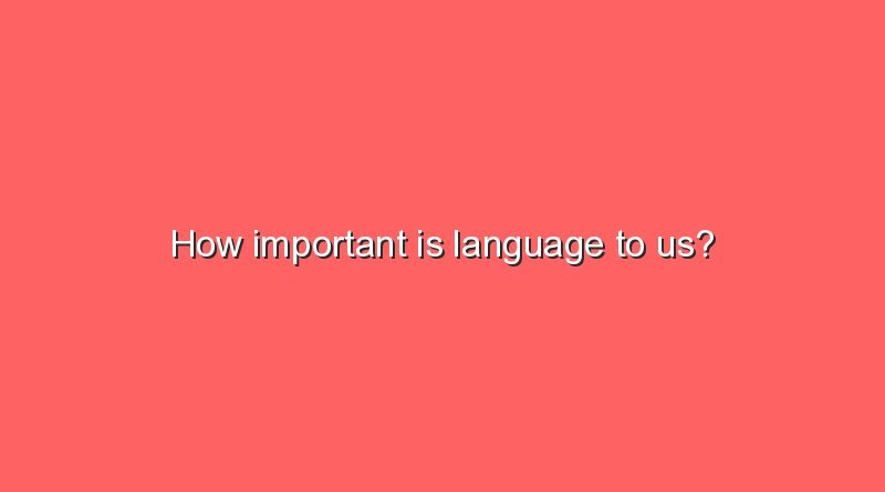 how important is language to us 11607