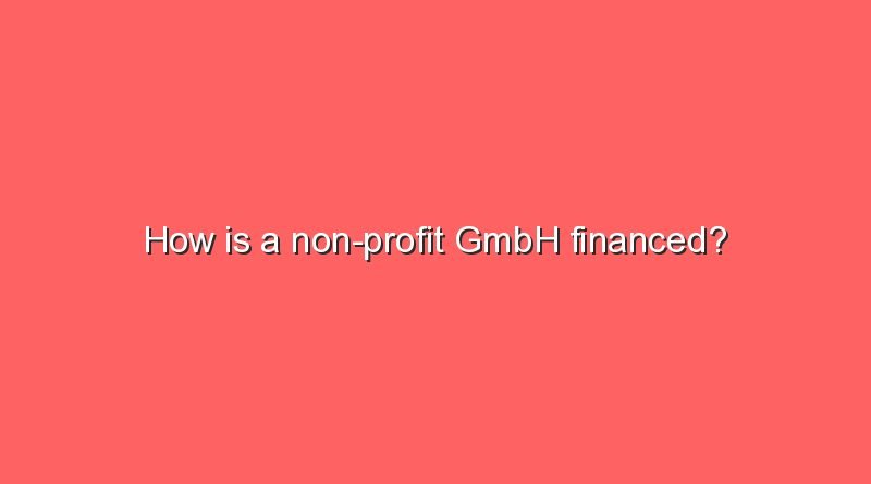 how is a non profit gmbh financed 10923