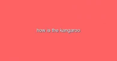 how is the kangaroo 9873