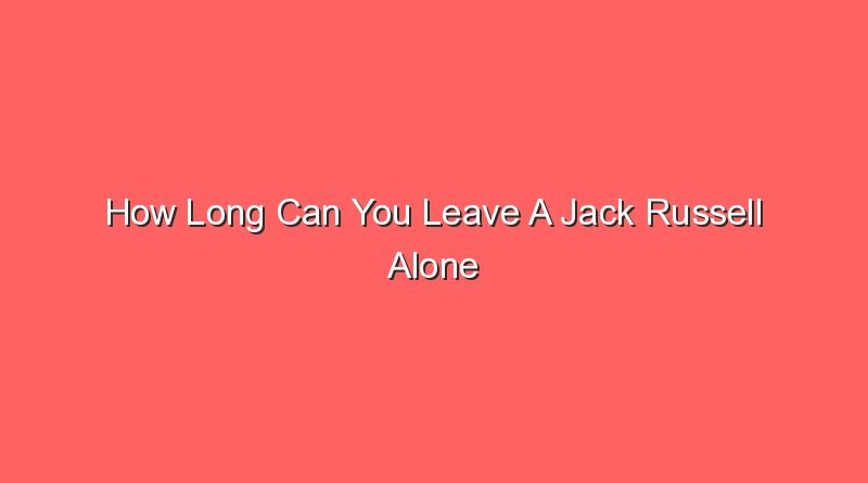 how long can you leave a jack russell alone 31116