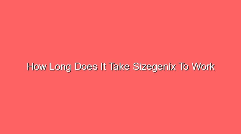 how long does it take sizegenix to work 31216 1
