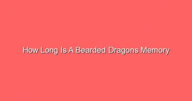 how long is a bearded dragons memory 15295