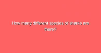 how many different species of sharks are there 7207