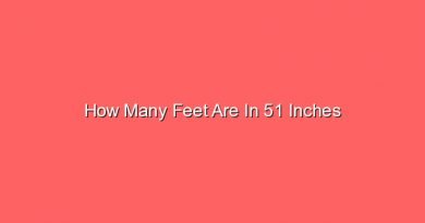 how many feet are in 51 inches 14297