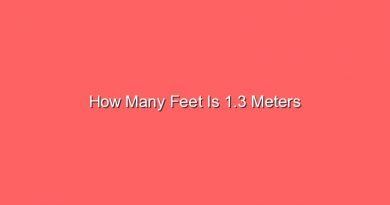 how many feet is 1 3 meters 14301