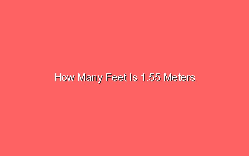 how-many-feet-is-1-55-meters-sonic-hours