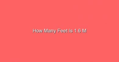 how many feet is 1 6 m 13210