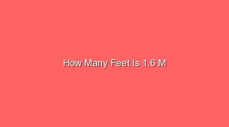 how many feet is 1 6 m 13210