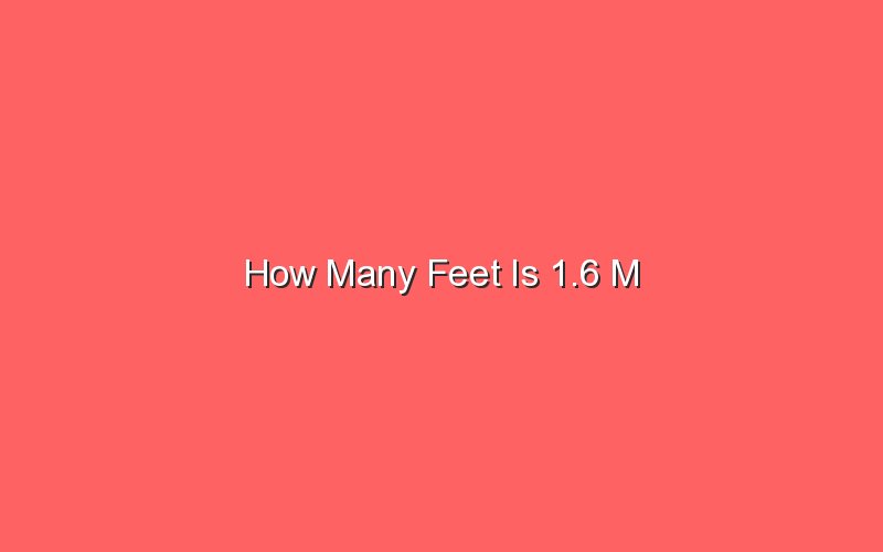 how-many-feet-is-1-6-m-sonic-hours