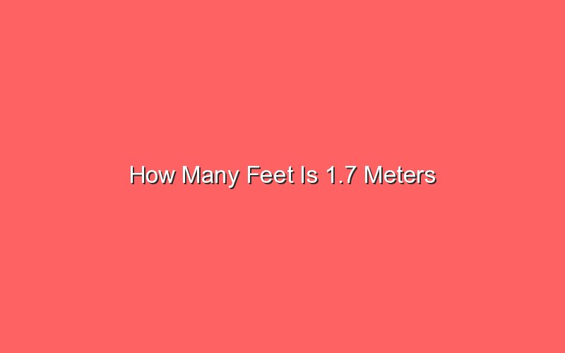 how-many-feet-is-1-7-meters-sonic-hours