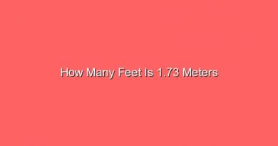 how many feet is 1 73 meters 13434