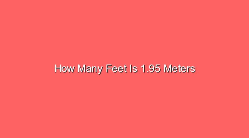 how many feet is 1 95 meters 13437