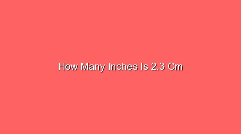 how many inches is 2 3 cm 13828