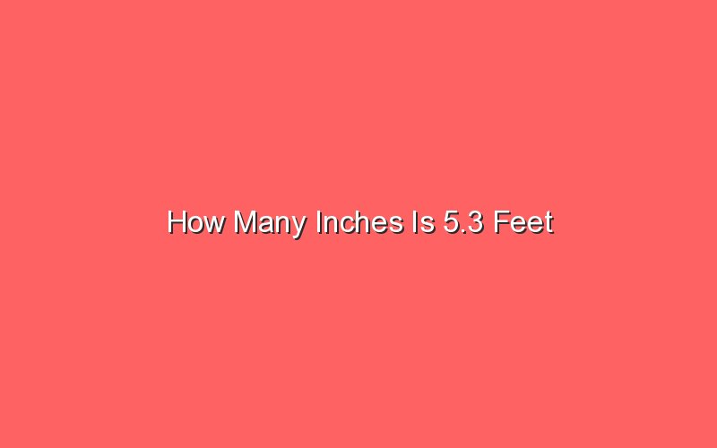 how-many-inches-is-5-3-feet-sonic-hours