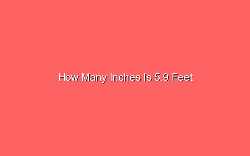 How Many Inches Is 5 9 Feet Sonic Hours