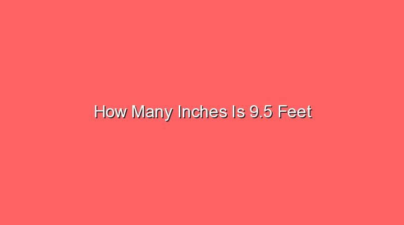 how many inches is 9 5 feet 14368