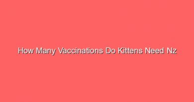 how many vaccinations do kittens need nz 15730