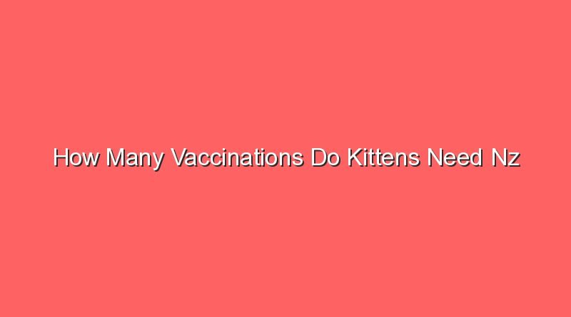 how many vaccinations do kittens need nz 15730