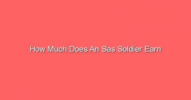 how much does an sas soldier earn 15809