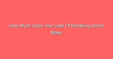 how much does the cast of breaking amish make 14553