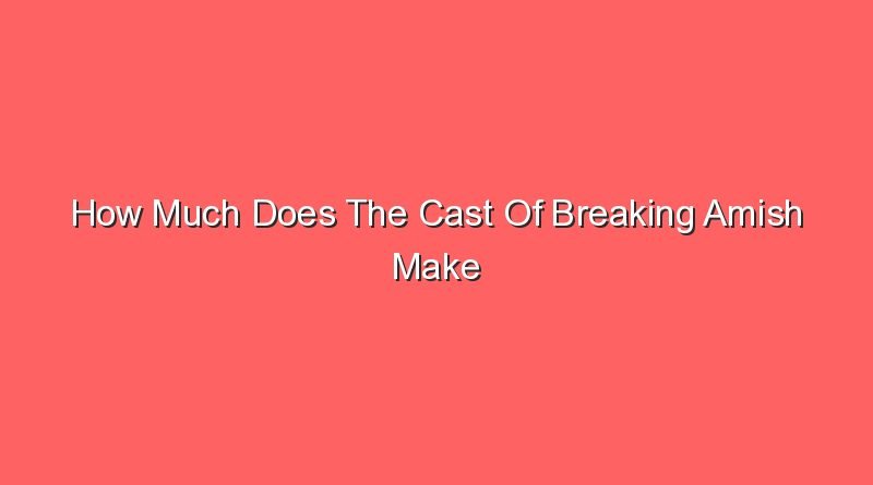how much does the cast of breaking amish make 14553