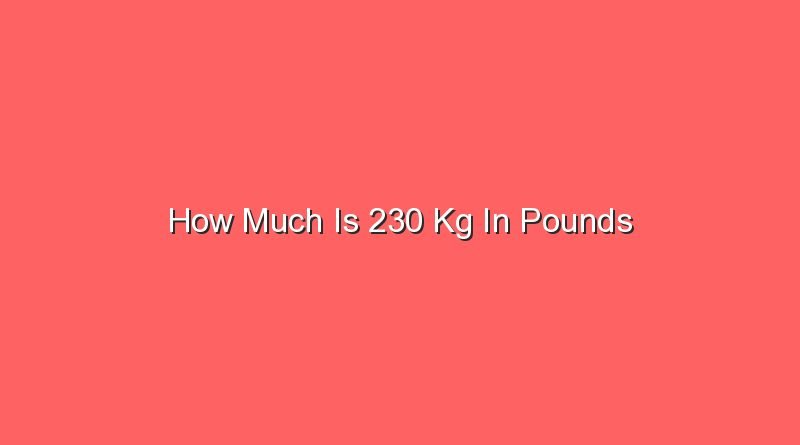 how much is 230 kg in pounds 14600