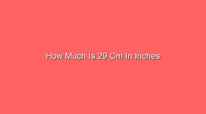 how much is 29 cm in inches 13946