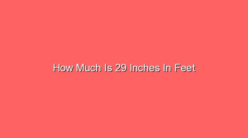 how-much-is-29-inches-in-feet-sonic-hours