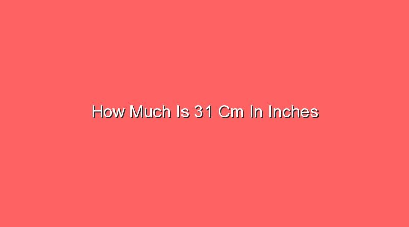 how much is 31 cm in inches 14606
