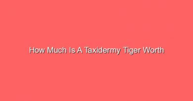 how much is a taxidermy tiger worth 16027