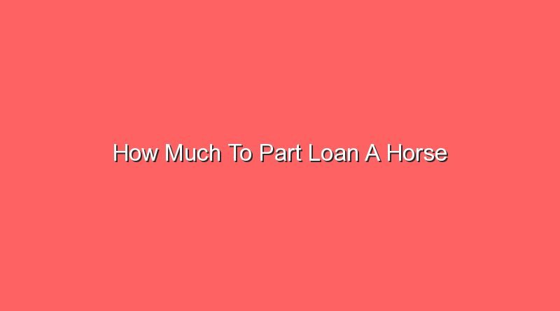how much to part loan a horse 16077