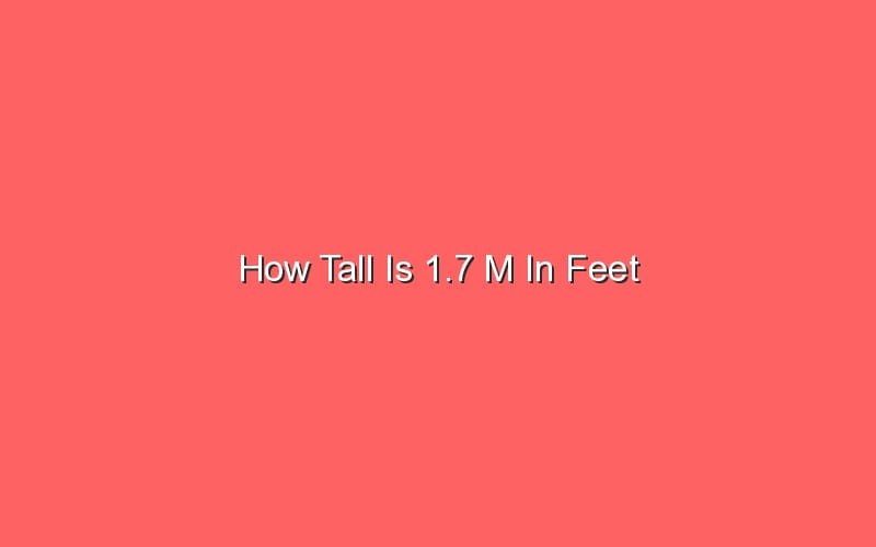 How Much 1 7 M In Feet