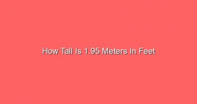 how tall is 1 95 meters in feet 12917
