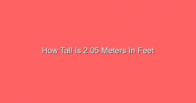 how tall is 2 05 meters in feet 14661
