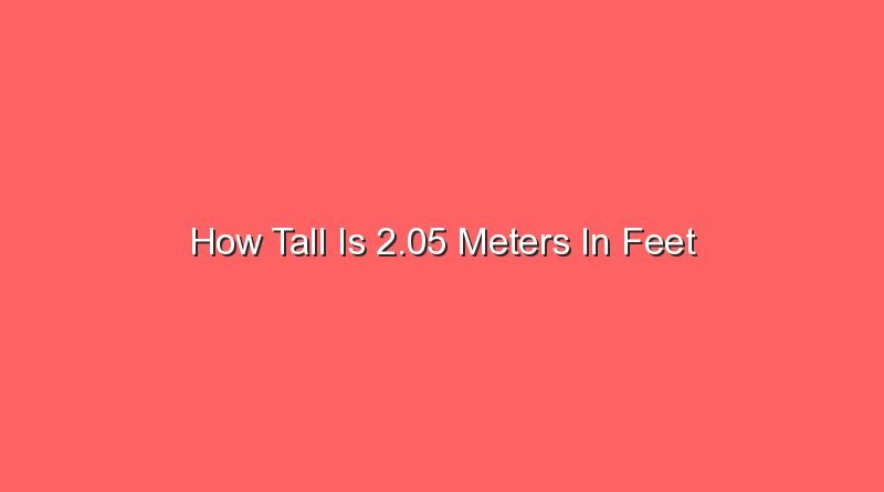 how tall is 2 05 meters in feet 14661