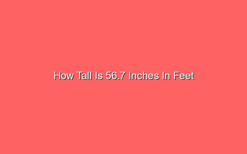 how-tall-is-56-7-inches-in-feet-sonic-hours