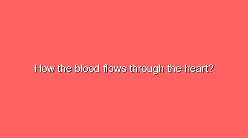 how the blood flows through the heart 8858