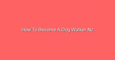 how to become a dog walker nz 16217