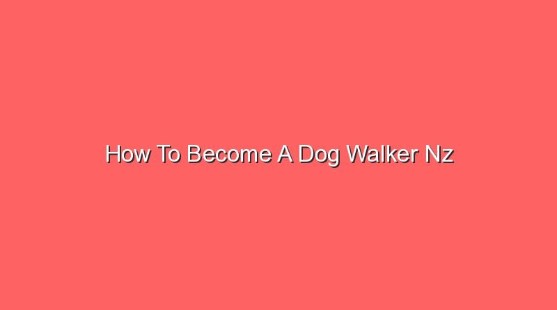how to become a dog walker nz 16217