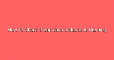 how to check if sap java instance is running 16343
