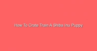 how to crate train a shiba inu puppy 16385