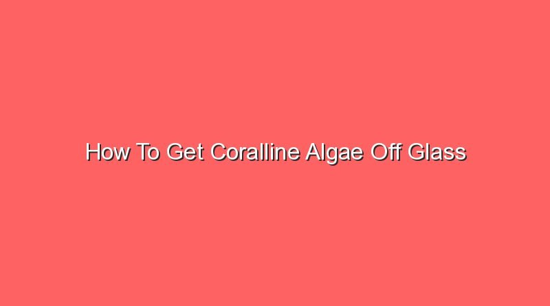 how to get coralline algae off glass 16591