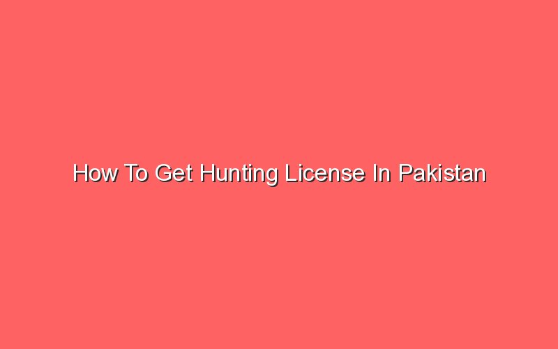 how-to-get-hunting-license-in-pakistan-sonic-hours