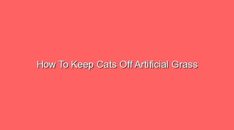 how to keep cats off artificial grass 16780