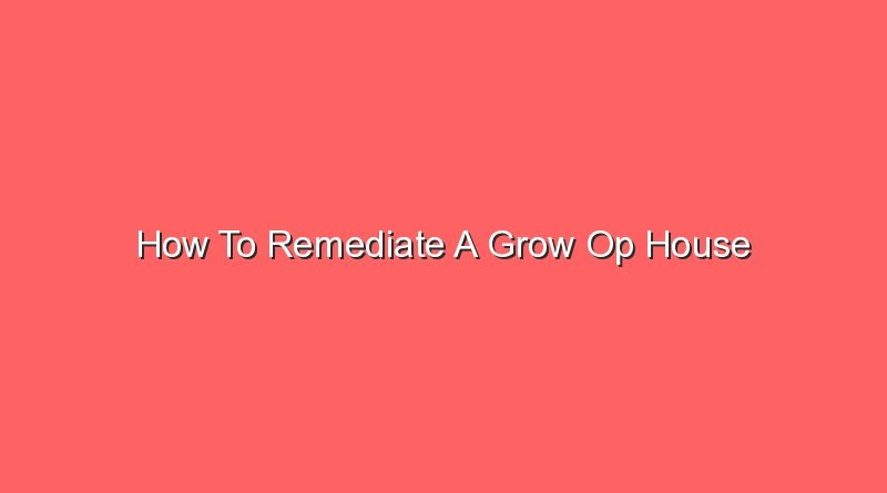 how to remediate a grow op house 20746