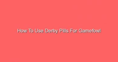 how to use derby pills for gamefowl 20940