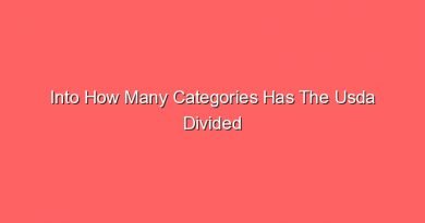 into how many categories has the usda divided recipes 13636