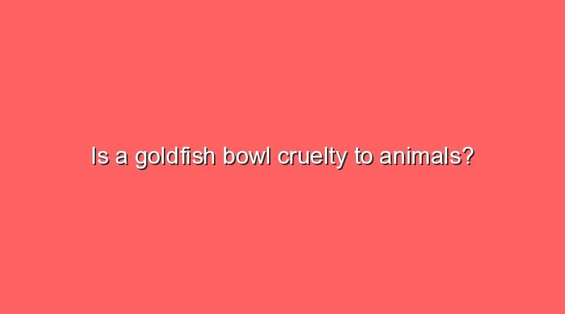 is a goldfish bowl cruelty to animals 11408