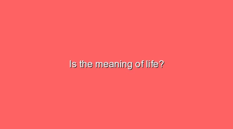 is the meaning of life 11664