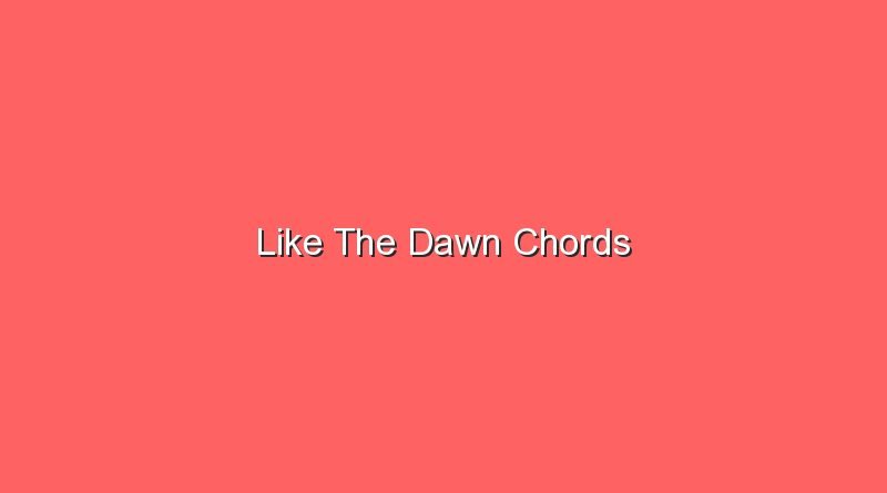 like the dawn chords 20110